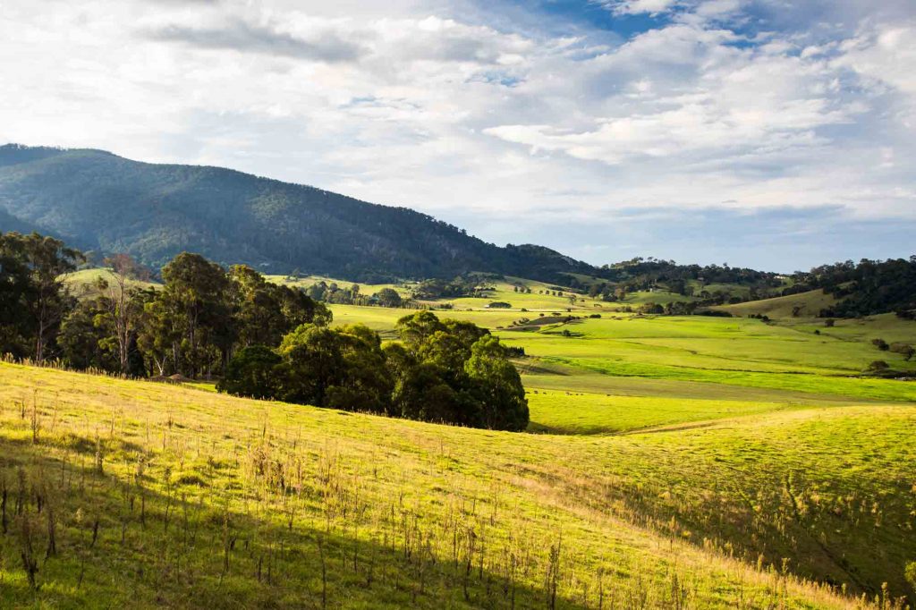 Yarra Valley Wedding Venues – How To Separate The Ordinary From The Exceptional